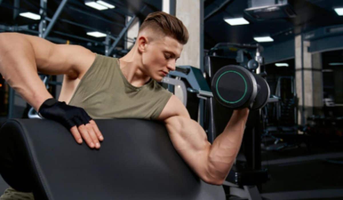 supersets vs circuits custom fitness design