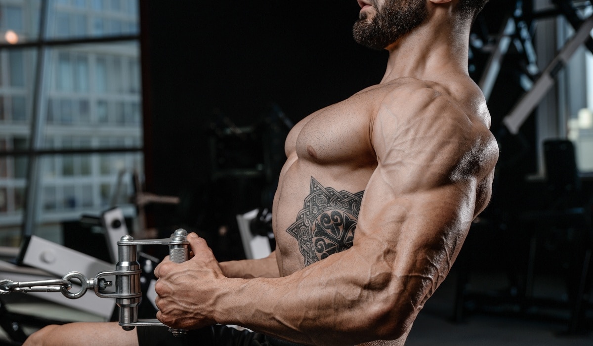 Exploring fat loss and muscle gain through resistance training in a fitness center